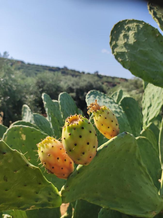 Anatolika Stamatis Paradise Dempla Bagian luar foto