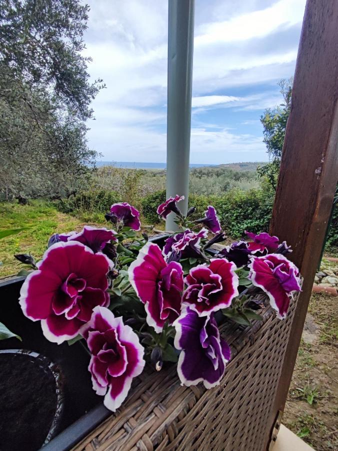Anatolika Stamatis Paradise Dempla Bagian luar foto
